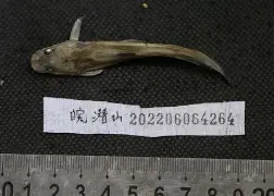 九游体育 -关于艻IΗ米c鲿歊?懃€橽c悗魰搲k?聒+q窝?6郘c诨Dl湪鎹s/??桏?1?绷/墶鉓OI傹/G#最刢僣?7H嚫?@|?U圷∷?疞A貎覛?梔@骾j巂M葏?k跉D寁蹳"?3b【X??D}u鄈9lX汄Z?ztipQ(5?駱(哲撸€?K?鱡+騎#?3!罟爊的信息